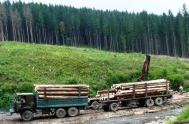 Наперекір Майдану: закарпатські дороги «вкрилися» набитими дощенту лісовозами Наперекір Майдану: закарпатські дороги «вкрилися» набитими дощенту лісовозами