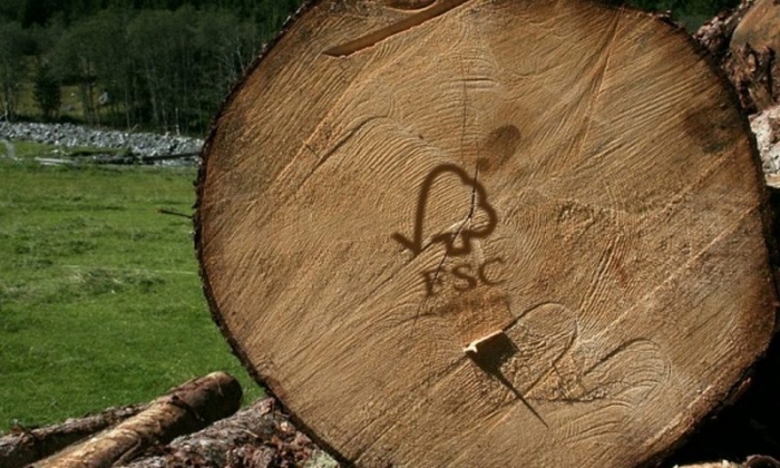 Свалявський лісгосп пройшов сертифікацію за європейською системою FSC