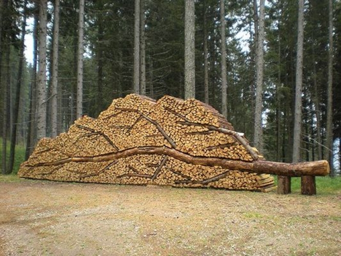 Мистецтво укладати дрова - чи чули про таке? 