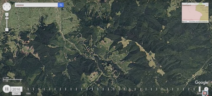 Масштаби вирубки вражають: супутникові знімки показали, як швидко пропадає ліс Закарпаття