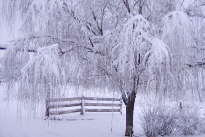 Sinoptik: Погода в Ужгороді та Закарпатській області на п’ятницю, 2 грудня