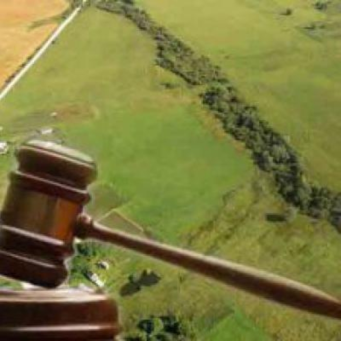 Закарпатська прокуратура намагається повернути державі 8 незаконно наданих на Берегівщині земельних ділянок 