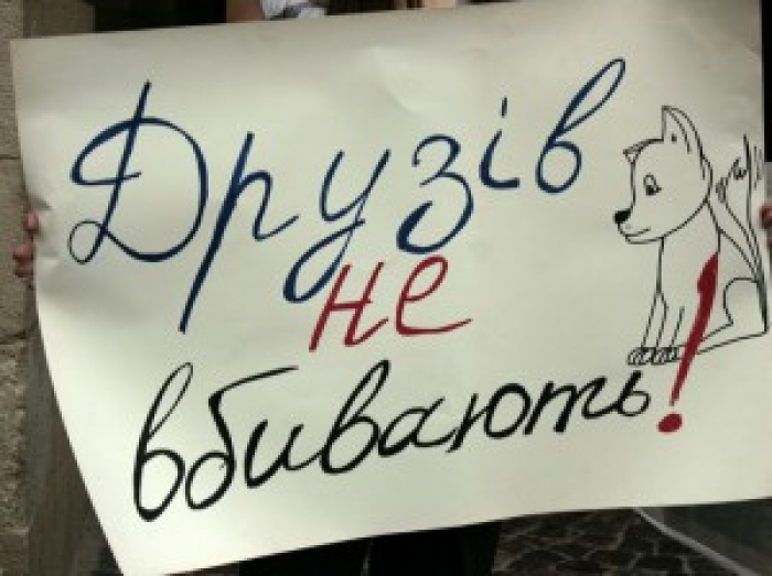 Комунальні служби Ужгорода не труять собак