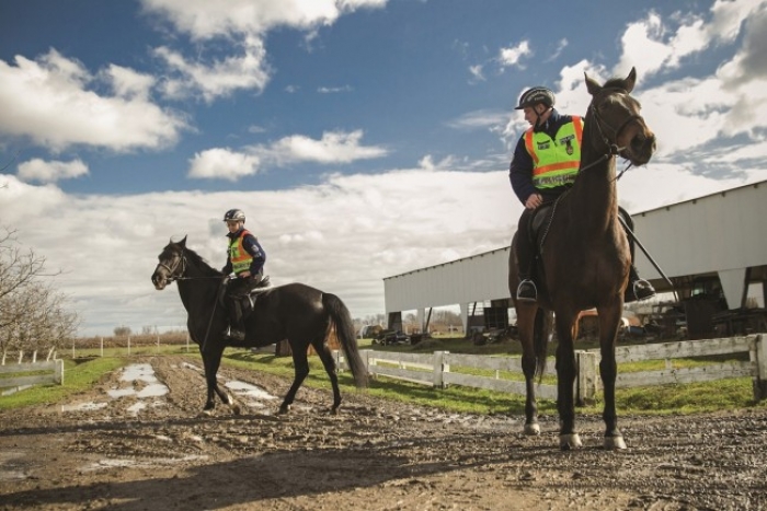 До уваги контрабандистів: угорська поліція біля Закарпаття контролює "зельонку" на конях