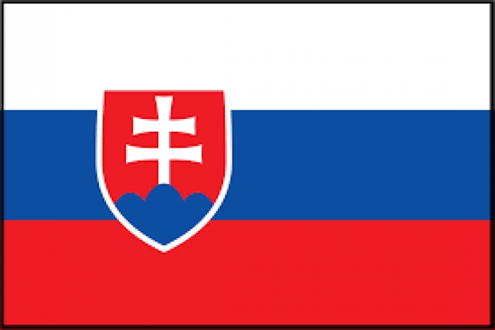 Які результати вчорашніх виборів у сусідів Закарпаття – Словаччині 
