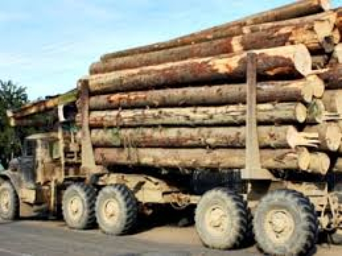 На Рахівщині  затримали вантажівку, яка везла "лівий" ліс