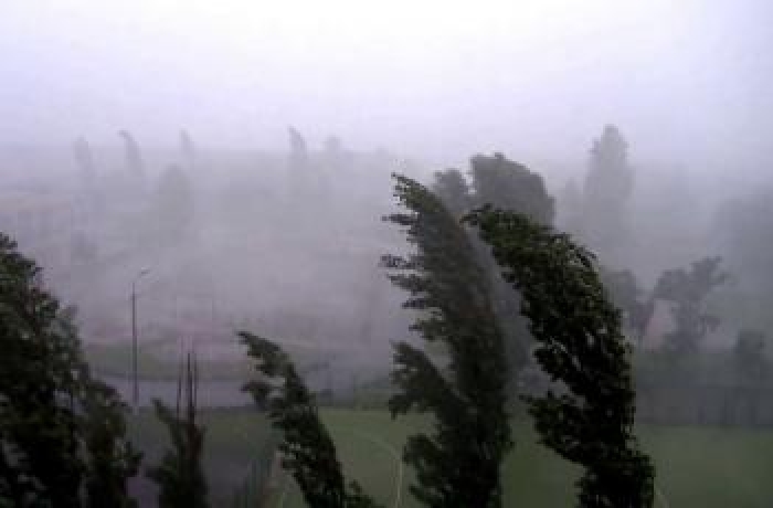 Відео жахливого буревію на Свалявщині