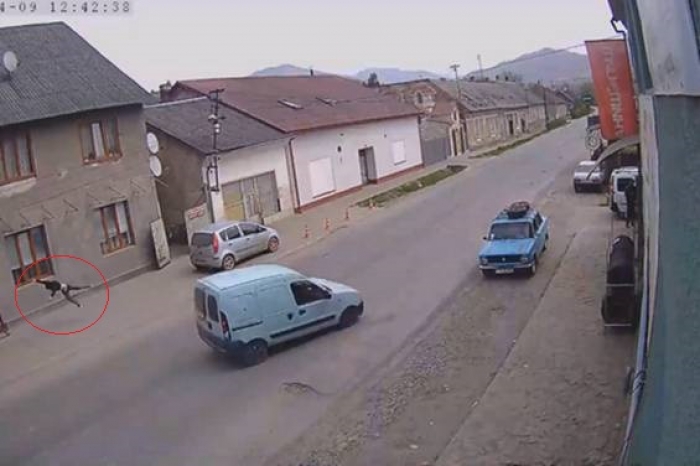 ДТП на Рахівщині: Шокуюче відео з камер спостереження холодить кров 