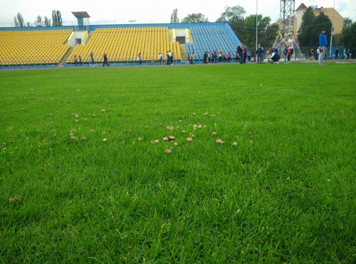 На стадіоні "Авангард" в Ужгороді відкрито сезон...грибів