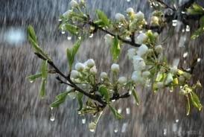 На Закарпатті сьогодні можливі зливи, грози і навіть град
