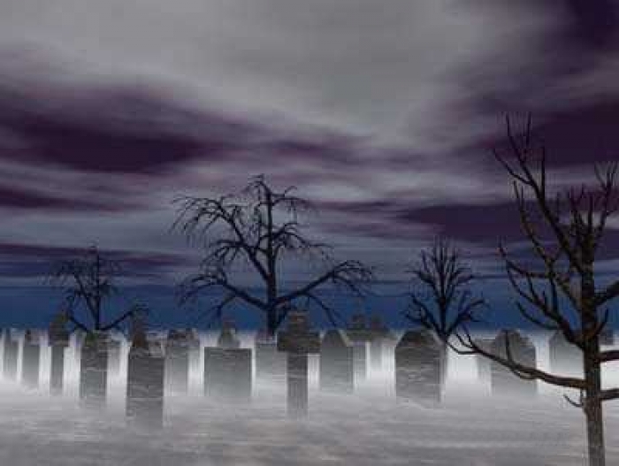 Чи потрібні Ужгороду нові кладовища?