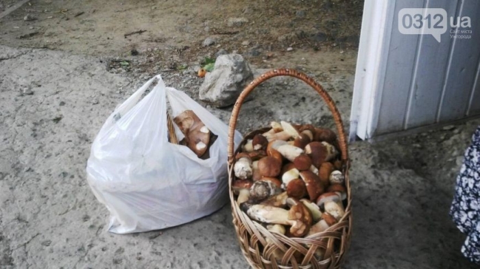 На Ужгородщині – сезон білих грибів