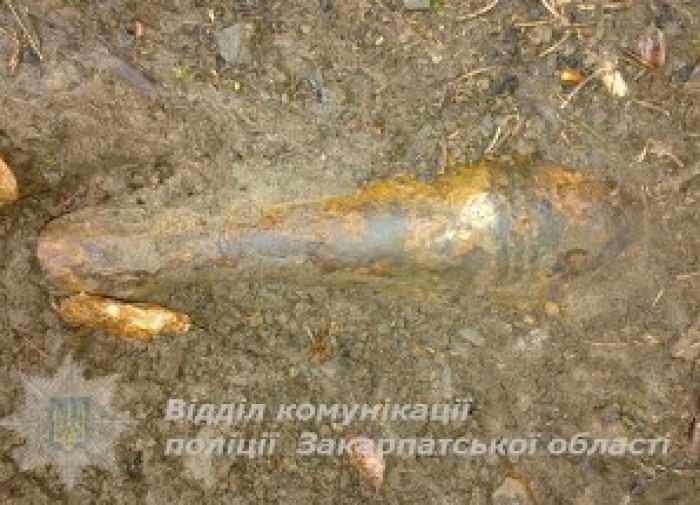 На Закарпатті туристи знайшли снаряд кругло-видовженої форми