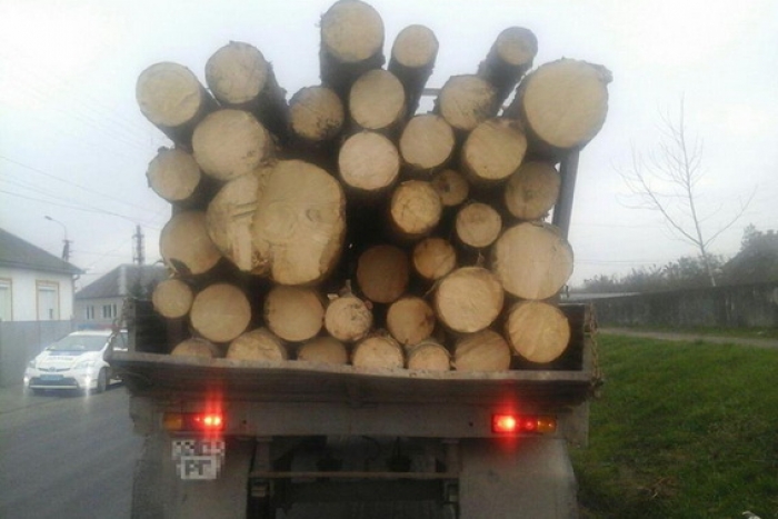 Поліція Тячівщини зупинила вантажівку з деревиною, а водій пішов додому