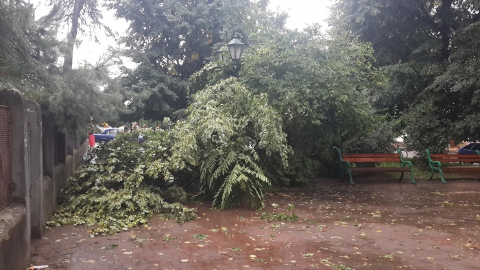 З'явилась уточнена інформація щодо наслідків штормової погоди в Ужгороді