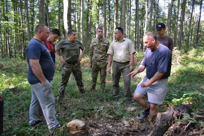 Лісівники заявили про значне скорочення рубки лісів на Ужгородщині