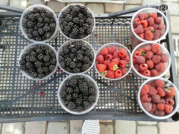За скільки в Ужгороді можна поласувати фруктами