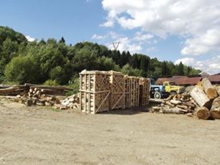 Прокуратура вилучила документи і лісопродукцію з території «Воловецького ЛАГ»