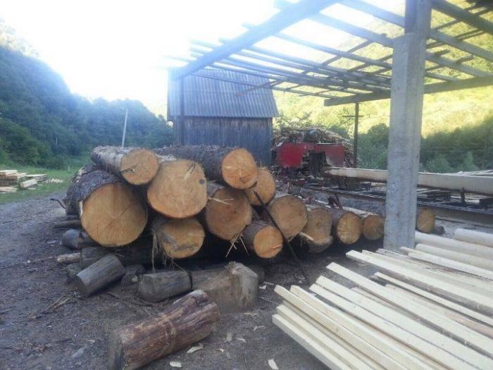 Незаконну лісопилку зі зрубаними смереками знайшли у Хустському районі