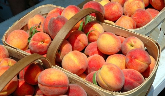 На Закарпатті провели перший фестиваль персиків