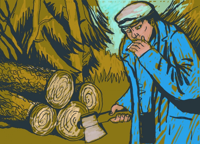 Закарпатські лісівники сподіваються, що прокуратура покінчить з незаконними вирубками
