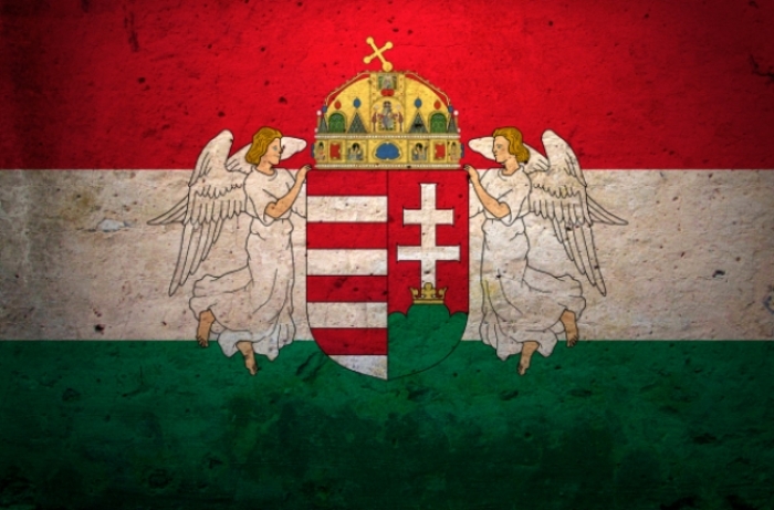 Угорщина не буде проводити референдум щодо приєднання Закарпаття