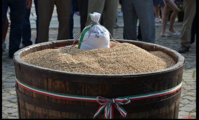На Ужгородщині зібрали символічне зерно для "Хліба угорців"