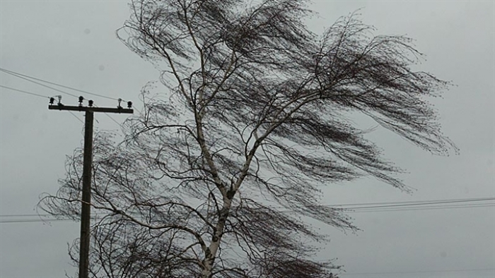 ДСНС попереджає про сильний вітер у Карпатах