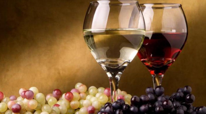 Українські, австрійські та угорські винороби дискутують в кого найкраще вино