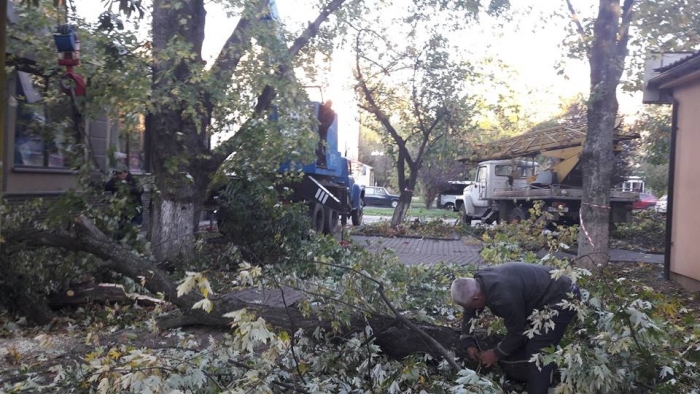 В Ужгороді працівники ДСНС, водоканалу та ТОВ «УжАгромікс» ліквідовували гілку дерева, яка зависла над трубою газопостачання
