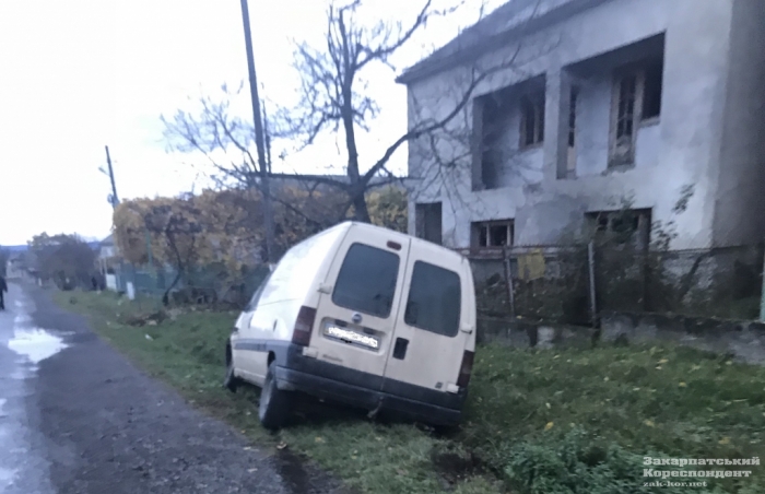 На Виноградівщині авто смертельно збило корову