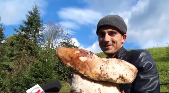 Мешканці Міжгірщини встановлюють власні грибні рекорди