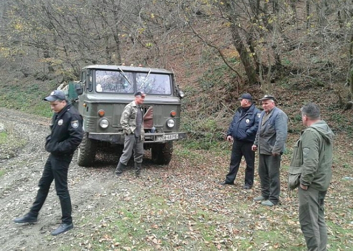 Затримані на Закарпатті "чорні лісоруби" встигли нарубати лісу в природно-заповідному фонді 