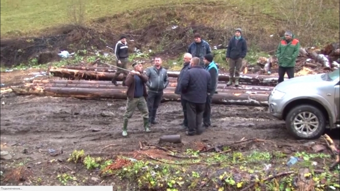 Лісівники Тячівщини забороняють журналістам знімати в тамтешніх лісах