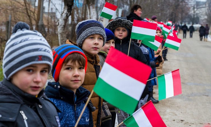 Через шантажні заяви Угорщини Закарпаття "прошерстять" на сепаратизм