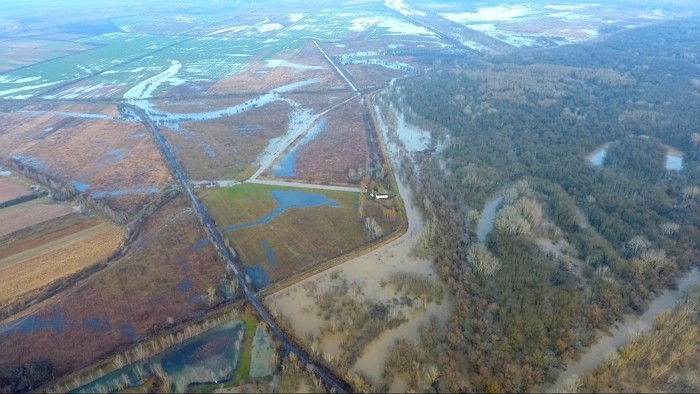 Паводкова ситуація у нижніх течіях річок Латориця та Боржава залишається складною