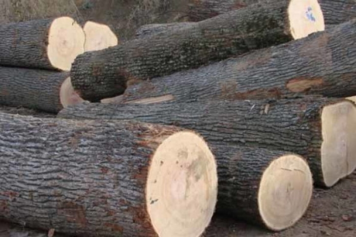 У Сваляві двоє крадіїв поцупили дрова з деревообробного підприємства