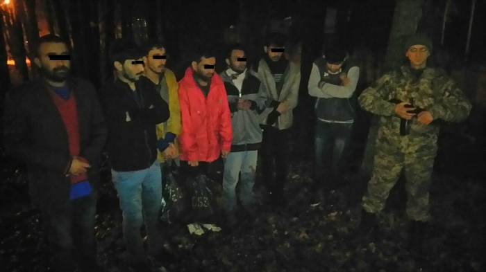 Поліція на Ужгородщині шукає причетних до переправки впійманих нелегалів