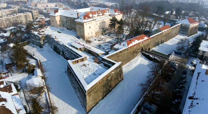 Як бачать Ужгородський замок ужгородські голуби і сороки?