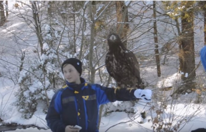 Екологи допомогли орлам, яких використовували для бізнесу на Шипоті