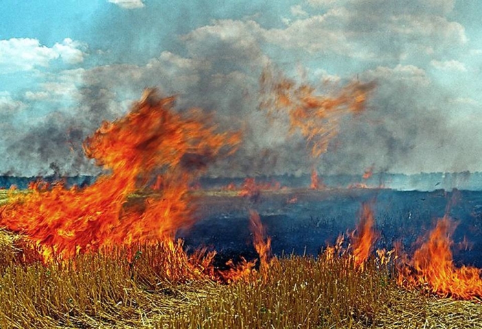 Випалювання сухостою на Закарпатті нищить довкілля, спричиняє пожежі і карається штрафом