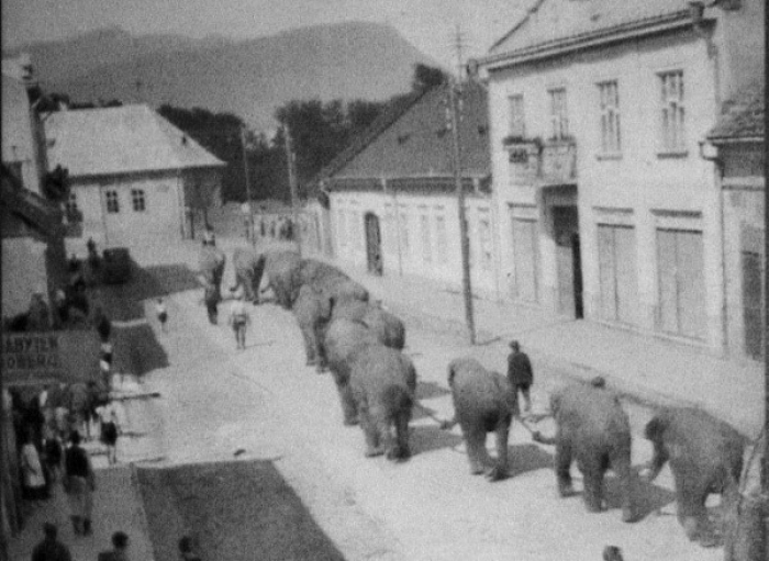 Хуст на Закарпатті був найекзотичнішим – вулицями містечка ходили справжні слони