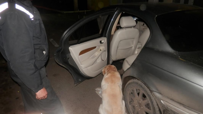 Собака допоміг закарпатським прикордонникам знайти в українця пістолет ФОРТ