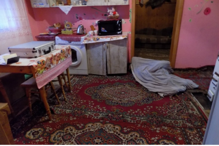 Шокуюче вбивство на Великоберезнянщині: дочка палицею вбила матір