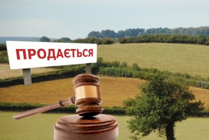 До 200 га сільгоспземель в одні руки дозволять купити закарпатцям після зняття мораторію