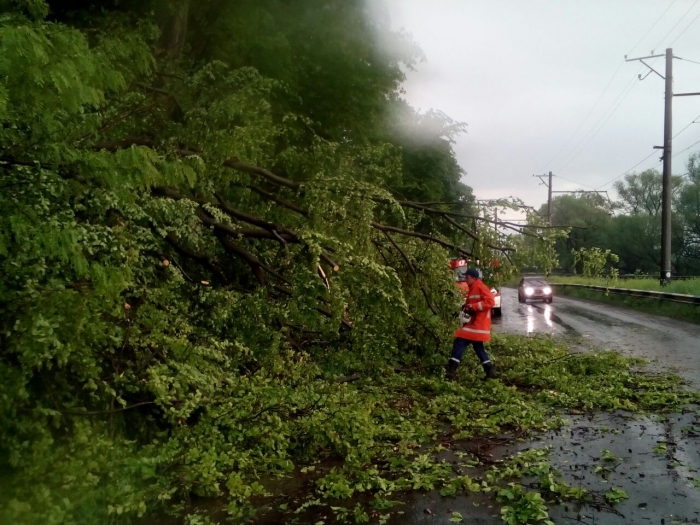 Закарпатські рятувальники ліквідували наслідки падіння дерев