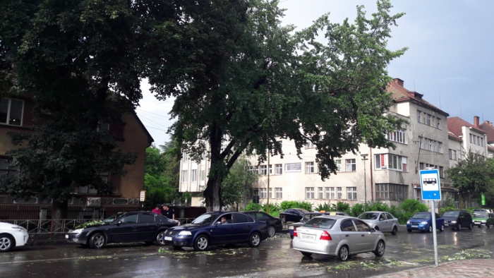 В Ужгороді ліквідовують наслідки буревію з дощем