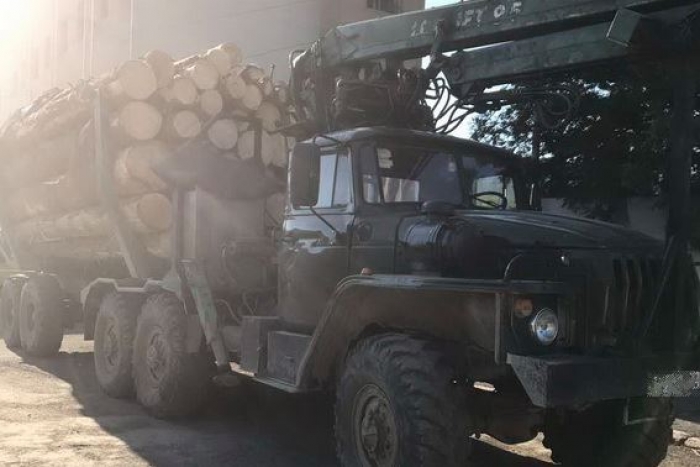 На Тячівщині поліція затримала «Урал» з майже 50 кубічними метрами деревини без чіпів 