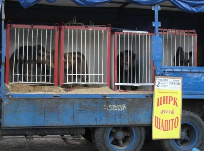 Мобільні "шапіто" з тваринами потрапили під заборону Мукачівської міськради
