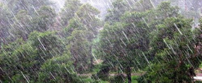 Дощі з грозою завтра можуть "омити" закарпатську Сваляву